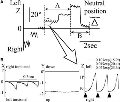 Visual Target Strategies in Infantile Nystagmus Patients With Horizontal Jerk Waveform